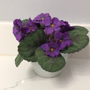 Get well artificial plant.